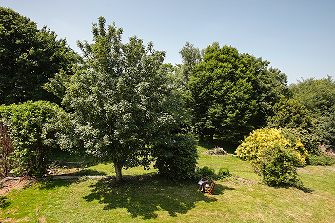 Le centre de Bretagne